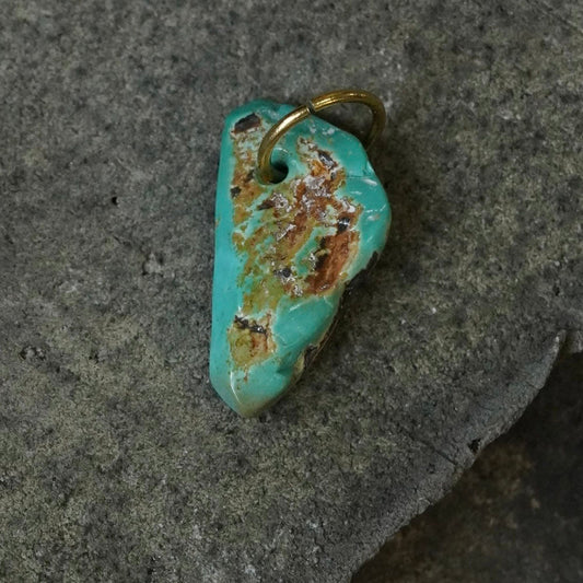 Defended Wealth Shield Unique Raw Turquoise Pendant