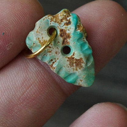 Defended Wealth Shield Unique Raw Turquoise Pendant