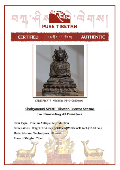 Shakyamuni SPIRIT Tibetan Bronze Statue for Eliminating All Disasters